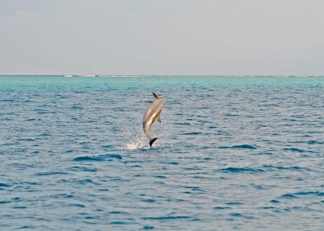فندق أوشن فيليدج مالديفز Holhudhoo المظهر الخارجي الصورة