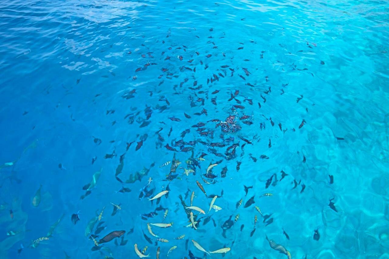 فندق أوشن فيليدج مالديفز Holhudhoo المظهر الخارجي الصورة